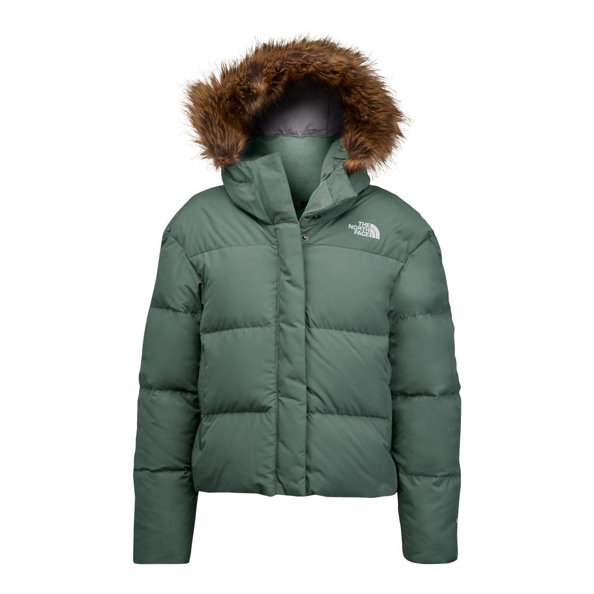 The North Face Girls' Dealio City Winter Jacket, Kids', Puffer, Insulated,  Waterproof, Hooded